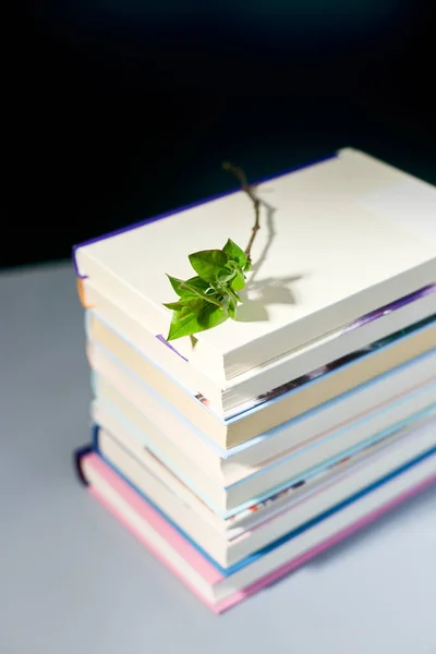 Pilha Livros Com Folhas Ramo Verde Dia Mundial Livro Conceito — Fotografia de Stock