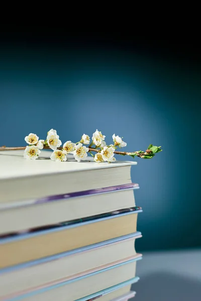 Pilha Livros Com Flores Ramo Dia Mundial Livro Conceito Conhecimento — Fotografia de Stock