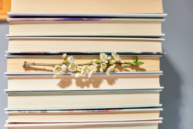 Ağaç dallı kitap yığını, Dünya Kitap Günü, bilgi ve yaratıcılık konsepti, bahar, yaz havası, kopya alanı, üst görünüm.