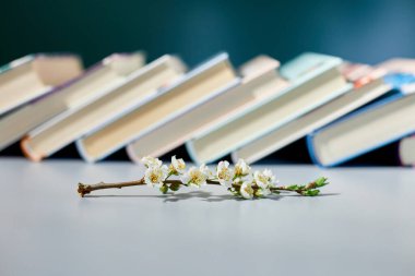 Ağaç dallı kitap yığını, Dünya Kitap Günü, bilgi ve yaratıcılık konsepti, bahar, yaz havası, kopyalama alanı.