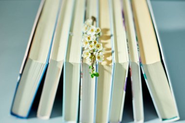 Ağaç dallı kitap yığını, Dünya Kitap Günü, bilgi ve yaratıcılık konsepti, bahar, yaz havası, kopyalama alanı.