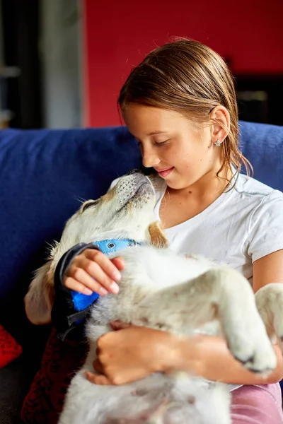 Feliz Adolescente Acostada Sofá Abrazando Mascota Perrito Golden Retriever Amar —  Fotos de Stock