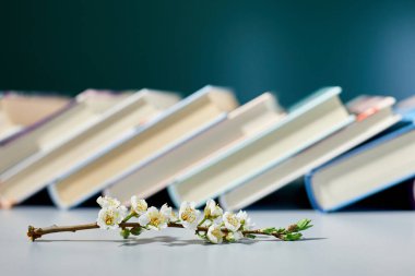 Ağaç dallı kitap yığını, Dünya Kitap Günü, bilgi ve yaratıcılık konsepti, bahar, yaz havası, kopyalama alanı.