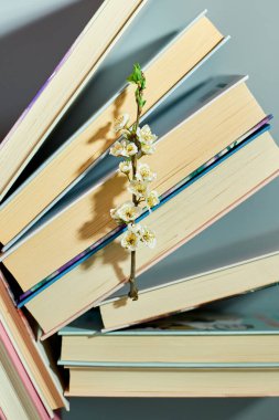 Ağaç dallı kitap yığını, Dünya Kitap Günü, bilgi ve yaratıcılık konsepti, bahar, yaz havası, kopya alanı, üst görünüm.