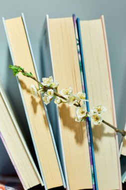 Ağaç dallı kitap yığını, Dünya Kitap Günü, bilgi ve yaratıcılık konsepti, bahar, yaz havası, kopya alanı, üst görünüm.