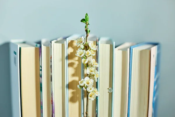 Stack of books with branch flowers, World book day, knowledge and creativity concept, spring, summer mood, copy space, top view.