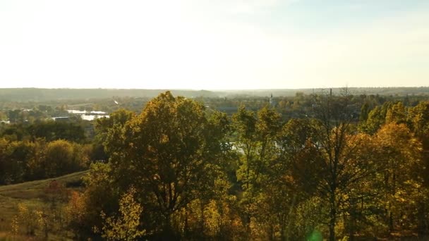 Krásné Žluté Podzimní Listy Krajina Větrné Stromy Venkovní Slunce — Stock video
