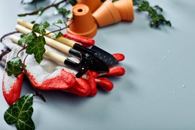 Küçük seramik saksılar, eldivenler, bahçe aletleri ve gri arka planda yeşil yapraklar, bahar bahçesi işleri konsepti, düz yer, üst manzara, kopyalama alanı.