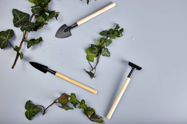 Bahçe aletleri ve gri arkaplanda yeşil yapraklar, bahar bahçesi çalışma konsepti, düz alan, üst görünüm, kopyalama alanı.