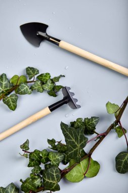 Bahçe aletleri ve gri arkaplanda yeşil yapraklar, bahar bahçesi çalışma konsepti, düz alan, üst görünüm, kopyalama alanı.