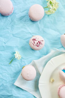 Mavi arka planda çeşitli tatlı Fransız pembe badem kurabiyeleri. Taze çiçekler, hamur işleri, tatlı hoşgörü..