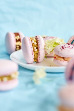 Mavi arka planda çeşitli tatlı Fransız pembe badem kurabiyeleri. Taze çiçekler, hamur işleri, tatlı hoşgörü..