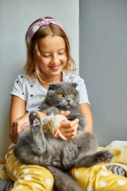 Kırık kollu genç bir kız. Ortopedik alçı. Evde kediyle oynuyor..