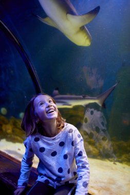 Sevinçli genç bir kız, okyanusun şeffaf tünelinde köpekbalıklarının süzülüşünü huşu içinde izliyor..