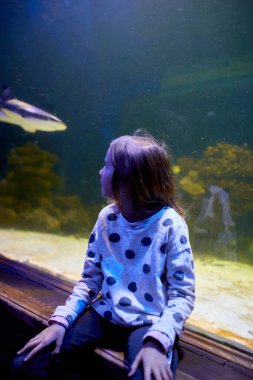 Sevinçli genç bir kız, okyanusun şeffaf tünelinde köpekbalıklarının süzülüşünü huşu içinde izliyor..