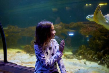 Mutlu genç bir kız, okyanusun şeffaf tünelinde süzülen kaplumbağayı huşu içinde izliyor..