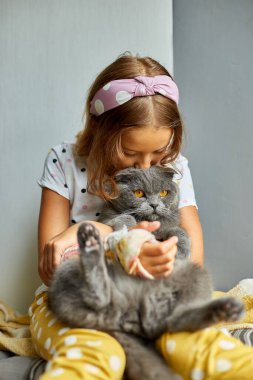 Kırık kollu genç bir kız. Ortopedik alçı. Evde kediyle oynuyor..