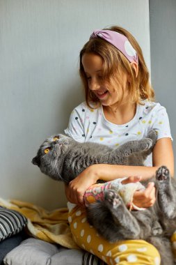 Kırık kollu genç bir kız. Ortopedik alçı. Evde kediyle oynuyor..