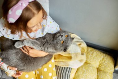 Kırık kollu genç bir kız. Ortopedik alçı. Evde kediyle oynuyor..