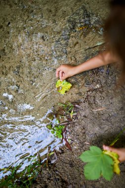 Bir kız yere çömelmiş, yaprakları tutarken toprağı inceliyor, doğal bir akıntıyla çevrili..