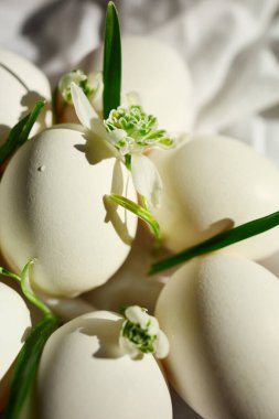 Küçük yeşil çiçeklerle çevrili beyaz yumurtalar yumuşak kumaşın üzerinde uzanıyor ve huzurlu bir Paskalya havası uyandırıyor. Bu nazik düzen, baharın doğal ortamdaki güzelliğini vurguluyor..