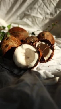 Yumuşak beyaz bir kumaş üzerinde, yarım hindistan cevizinin yanında duran bir sürü hindistan cevizi kremsi iç etini sergiliyor. Doğal ışık dokuları ve renkleri vurgular, davetkar bir sahne yaratır..