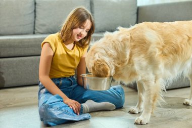 Genç bir kız, karşılama salonunda yerde oturmuş Golden Retriever 'ının paslanmaz çelik bir kaseden yemek yemesini zevkle izliyor. Sıcak atmosfer dostluğu ve mutluluğu davet eder..
