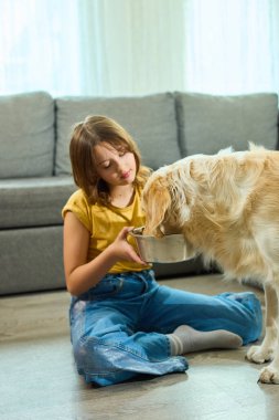 Genç bir kız, karşılama salonunda yerde oturmuş Golden Retriever 'ının paslanmaz çelik bir kaseden yemek yemesini zevkle izliyor. Sıcak atmosfer dostluğu ve mutluluğu davet eder..