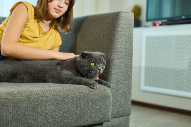 Genç bir kız İskoç kedisini sıcak, davetkar bir oturma odasında yumuşak bir kanepede sevgiyle besliyor. Öğleden sonra güneşi onların neşeli etkileşimlerini nazikçe aydınlatıyor, sakin bir atmosfer yaratıyor..