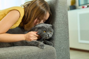 Genç bir kız evdeki yumuşak bir kanepede dinlenirken İskoç kedisini kucaklıyor sıcak bir oturma odasında huzurlu ve sevgi dolu bir anın tadını çıkarıyor..