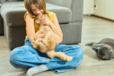 Genç bir kız, kollarında İskoç bir kediyi neşeyle kucaklayarak yerde oturuyor. Başka bir kedi rahatça yan tarafa uzanıyor, oturma odasında sıcak ve sevgi dolu bir atmosfer yaratıyor..