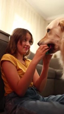 Neşeli bir genç kız yerde oturuyor, Golden Retriever 'a doğru renkli bir top tutarken gülüyor. Doğal ışıkla dolu rahat bir oturma odasındalar..