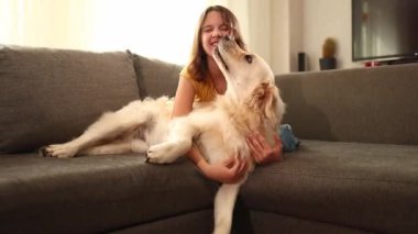 Neşeli bir genç kız, Golden Retriever 'ıyla doğal ışıkla dolu sıcak bir oturma odasında etkileşime girer. Neşeli bir anı paylaşıyorlar, bağlarını ve mutluluklarını sergiliyorlar..