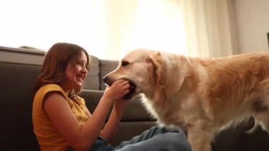 Neşeli bir genç kız yerde oturuyor, Golden Retriever 'a doğru renkli bir top tutarken gülüyor. Doğal ışıkla dolu rahat bir oturma odasındalar..