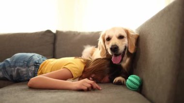 Genç bir kız başını kanepeye yaslıyor ve Golden Retriever 'ı ona yakın bir yerde duruyor. Parlak renkli bir top yakınlarda, evlerinde neşeli bir atmosfer olduğunu gösteriyor..