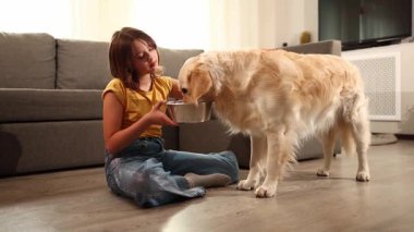 Genç bir kız, karşılama salonunda yerde oturmuş Golden Retriever 'ının paslanmaz çelik bir kaseden yemek yemesini zevkle izliyor. Sıcak atmosfer dostluğu ve mutluluğu davet eder..