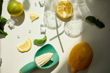 İçeceğe hazırlık için taze limon ve fesleğen malzemeleri hazır. Limonlar, nane ve cam karışımı..
