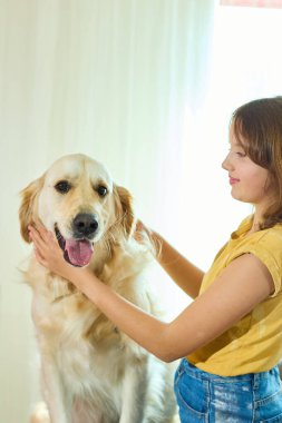 Genç bir kız, Golden Retriever 'ıyla doğal ışıkla dolu parlak, rahat bir oturma odasında kaliteli vakit geçirmekten zevk alır. Birlikte neşeli bir anı paylaşıyorlar..