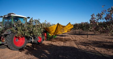  Hasat zamanı fıstık toplama makinesi.