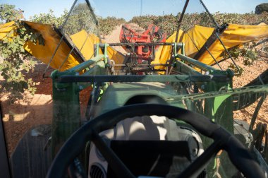 İş yerindeki şam fıstığı biçme makinesinin taksisinin üst görüntüsü..