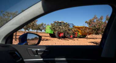  Antep fıstığı hasadında çalışan bir traktörün içindeki görüntüyü al..