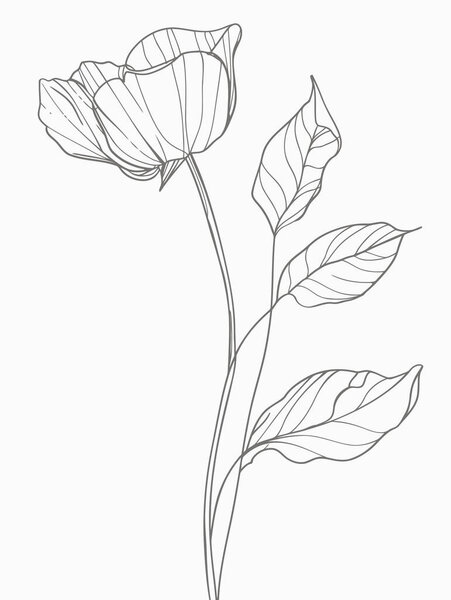 Vector line art flower silhouette