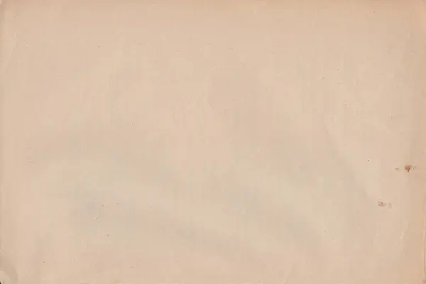 Yüksek kaliteli JPEG, kendine özgü kaliteli kağıt dokusu içeriyor. Benzersiz karakteri tasarımlara retro bir dokunuş katıyor. Dijital sanat, arka plan, örtüler ya da nostaljik bir estetik yapmak için ideal.