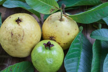 Ahşap arka planda yeşil yapraklı taze kırmızı guava. Ahşap ve guava yapraklarının dokusu.