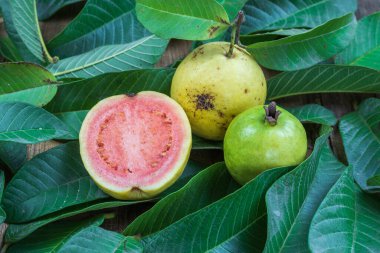 Ahşap arka planda yeşil yapraklı taze kırmızı guava. Ahşap ve guava yapraklarının dokusu.