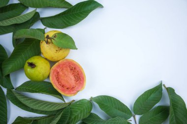 Beyaz arka planda yeşil yapraklı taze kırmızı guava