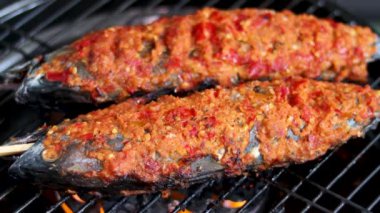 Lezzetli mevsim baharatlı ızgara tuna (cakalang).