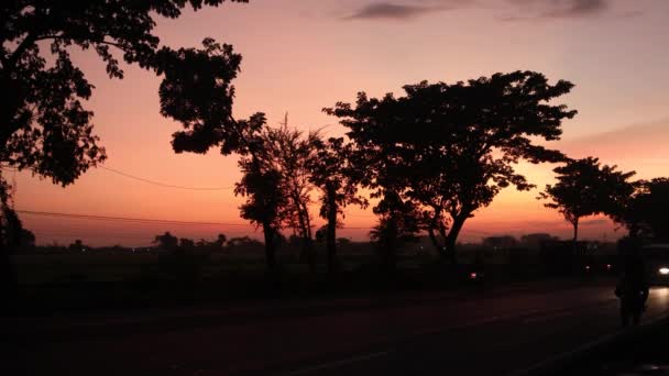 Gün Doğumunda Otoyolda Ağaçların Araçların Silueti Sabahın Erken Saatlerinde Faaliyet — Stok video