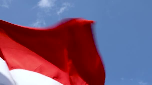 インドネシアの旗 赤と白の旗 インドネシアの国のシンボルは青空を振っています — ストック動画