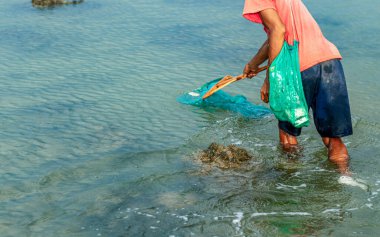 İnsanlar tuba bitkisinin veya Derris 'in kökleri tarafından zehirlendikleri için suyun yüzeyinde yüzen balıkları yakalıyorlar. çevresel sorunlar